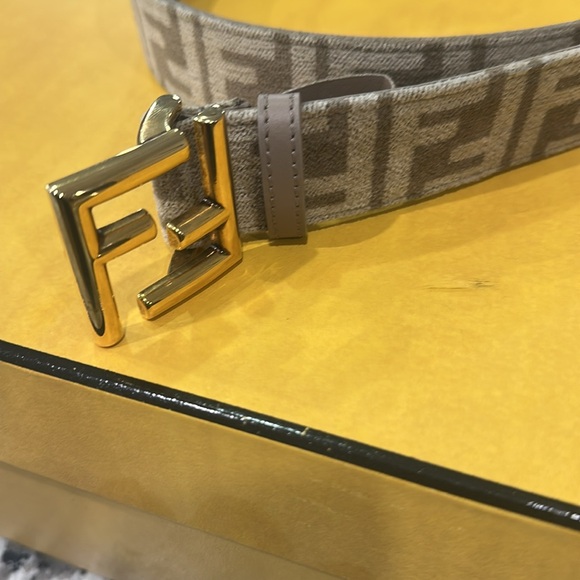 Fendi Brown and Gold women Belt Bag - Picture 8 of 17